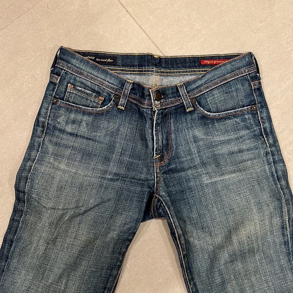 Citizens of Humanity Low Waist Flair